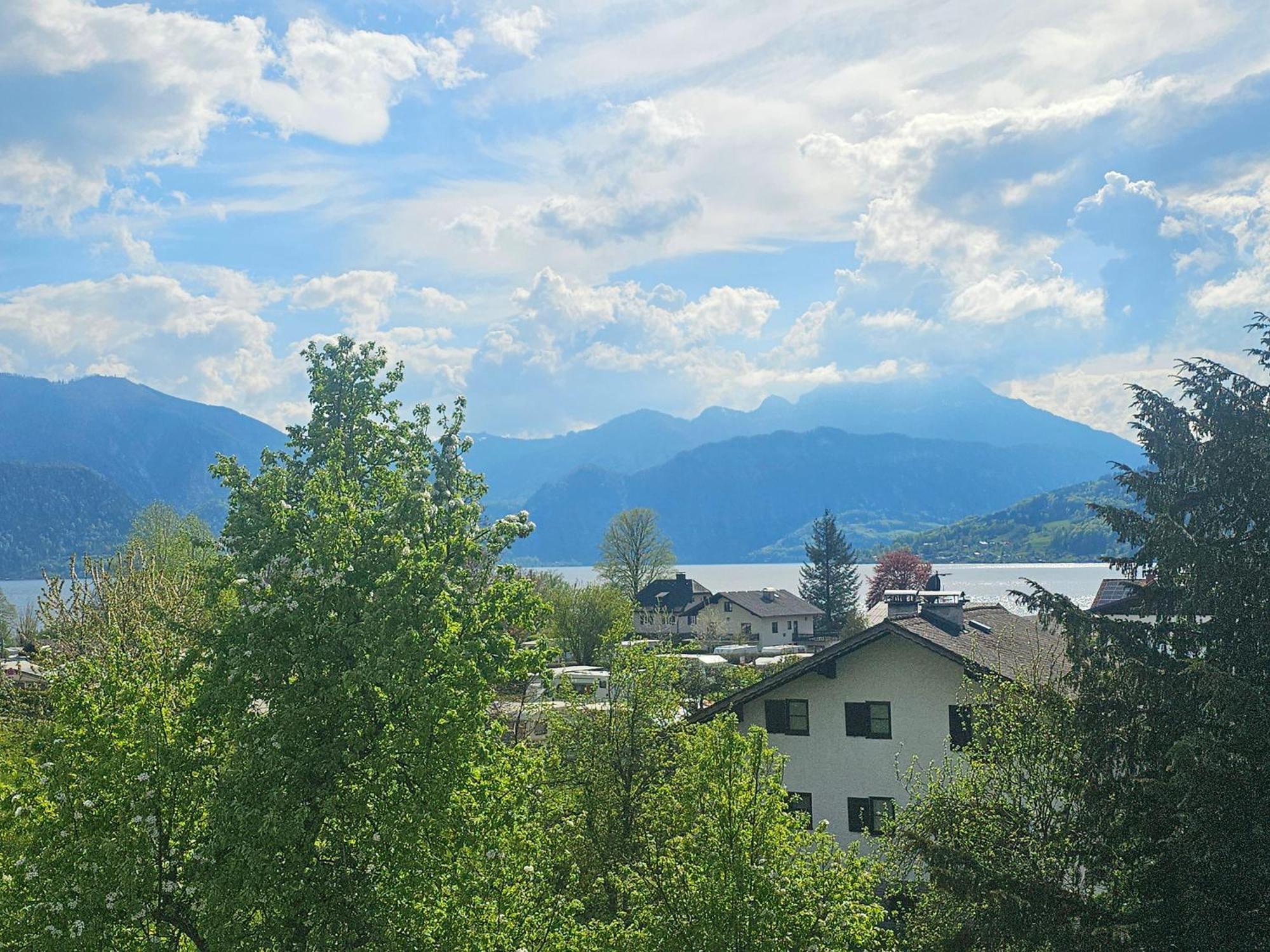 Ferienwohnung Attersee Штайнбах-ам-Аттерзее Экстерьер фото
